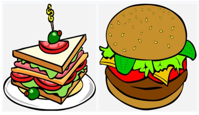 Sandwich vs Burger